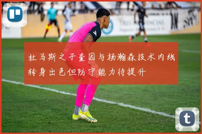 杜马斯之子奎因与杨瀚森技术内线转身出色但防守能力待提升